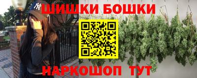 МДПВ Кингисепп
