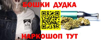 МДПВ Кингисепп