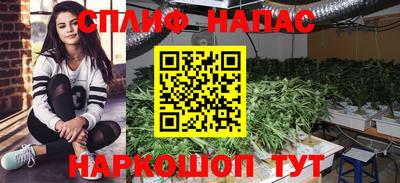 МДПВ Кингисепп