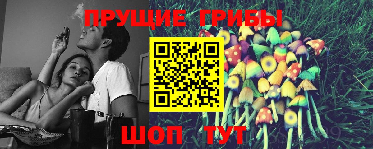 Кунгур  Псилоцибиновые грибы Psilocybine cubensis  Вход с VPN 